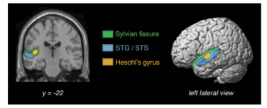 Screen Shot 2015-03-16 at 10.15.26 AM