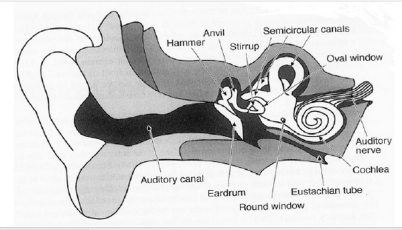 Screen Shot 2015-03-16 at 7.07.16 AM