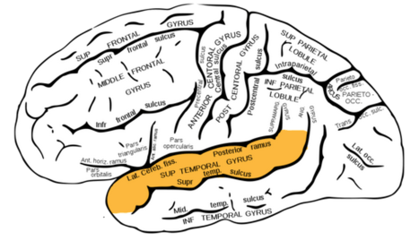 Screen Shot 2015-03-16 at 9.41.20 AM